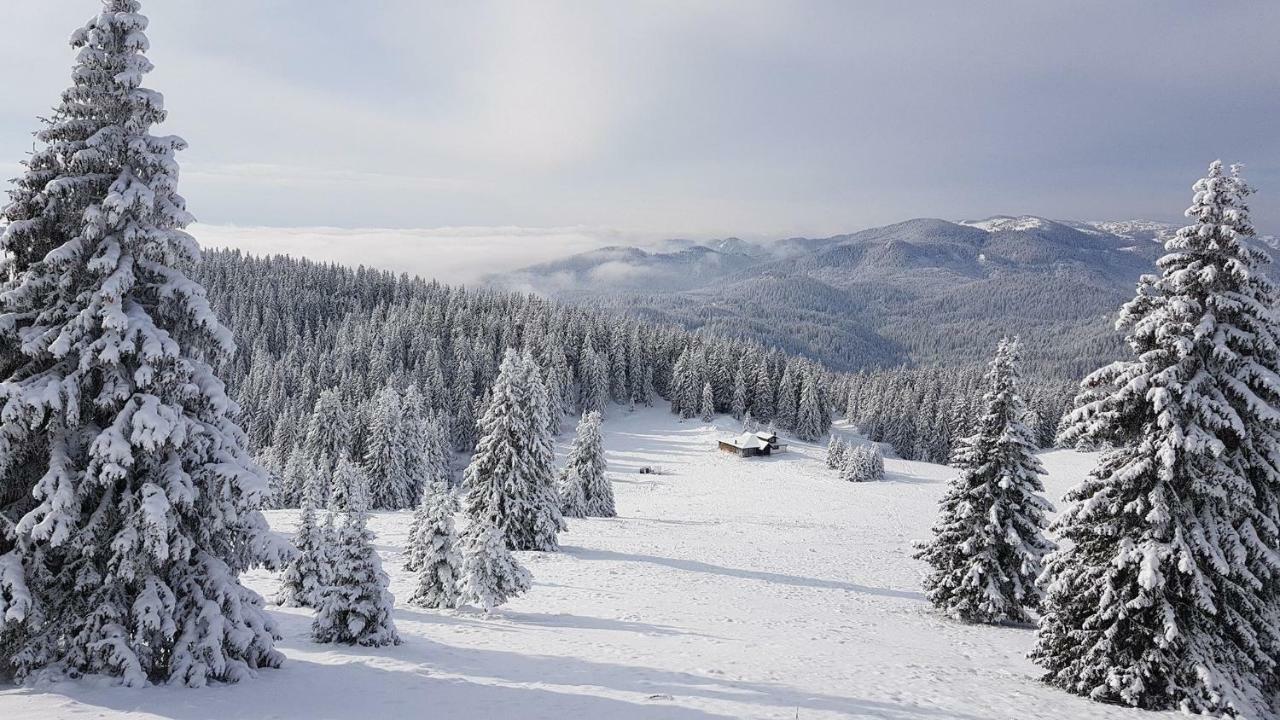 Studio Pisarov Appartamento Pamporovo Esterno foto